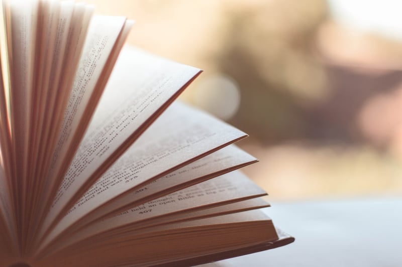 Literary Adventure