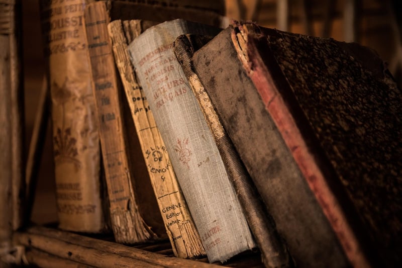 Historical Fiction Book